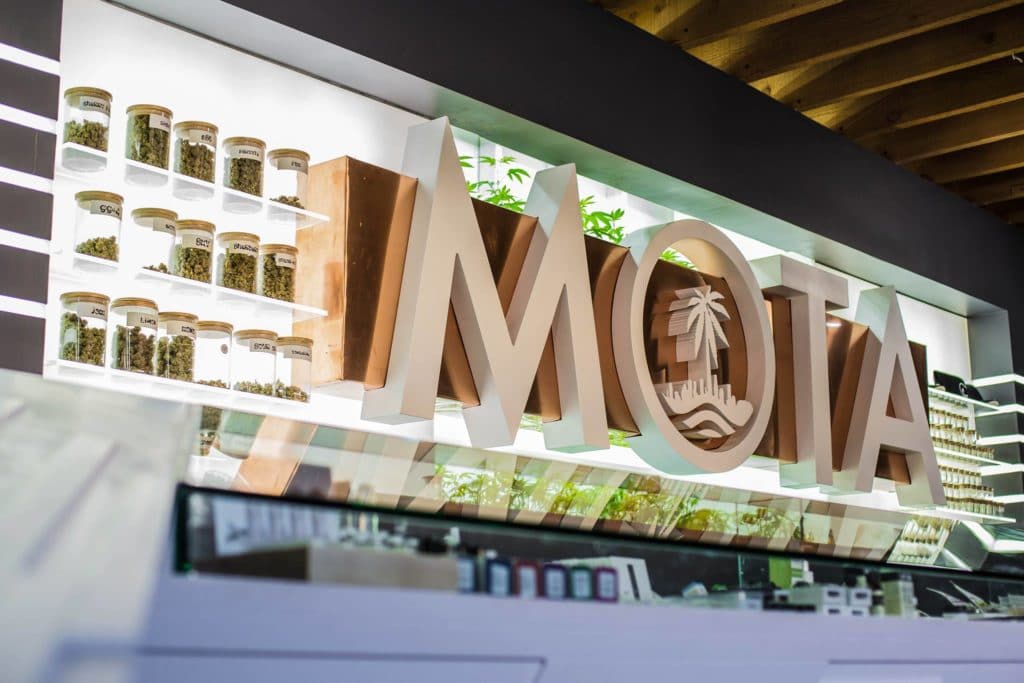 MOTA Medicine of the Angels